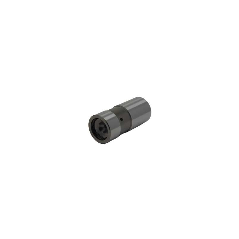 Small Block Hydraulikstößel 289 302 351 64-73 Small Block Hydraulikstößel 289 302 351 64-73
