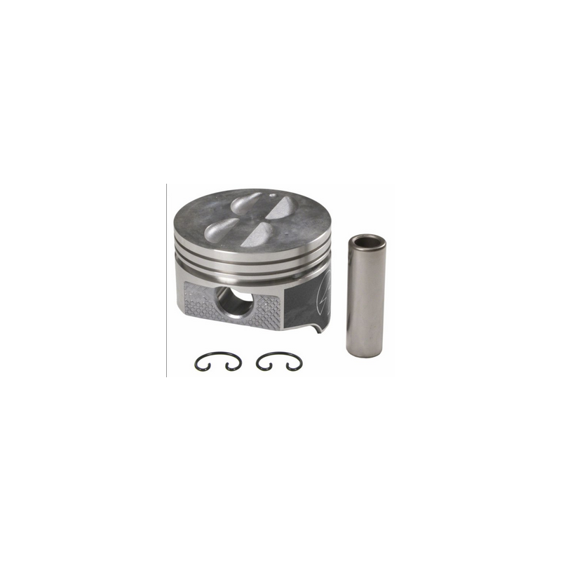 Premium Pistons 289/302 SEALED POWER H273CP 65-73