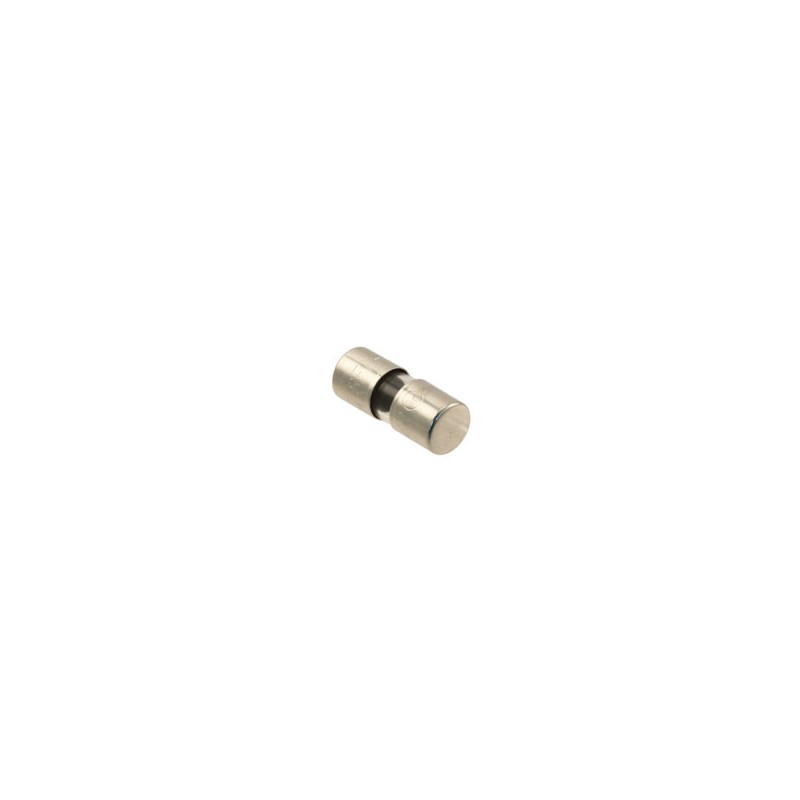 Fuse glass SFE4 (16.5mm)