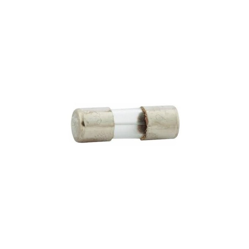 Fusibile in vetro SFE6/ 19,2 mm Fusibile in vetro SFE6/ 19,2 mm