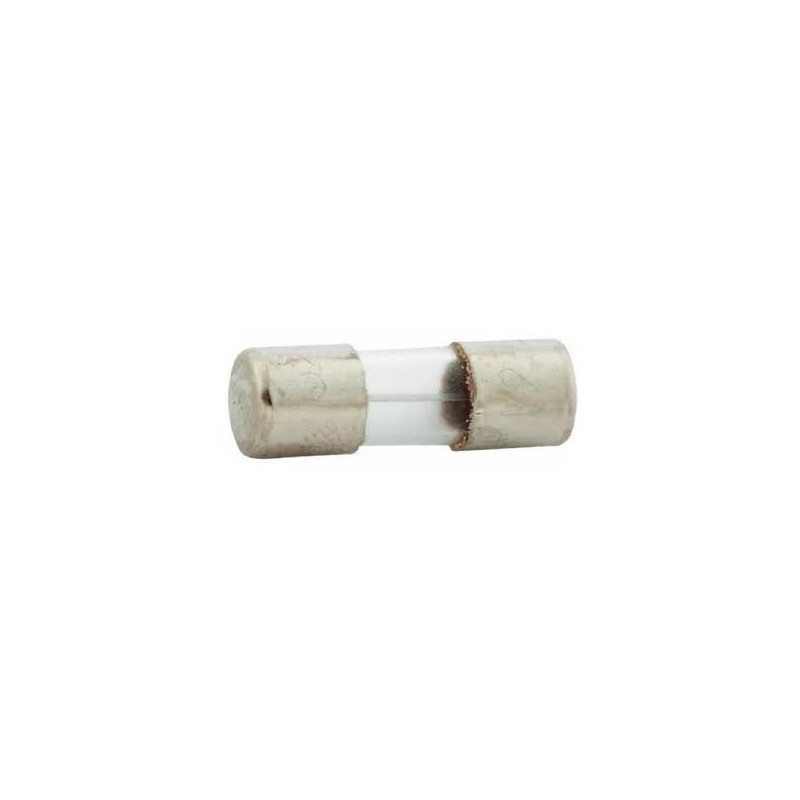 SFE6 glass fuse (19.2mm)