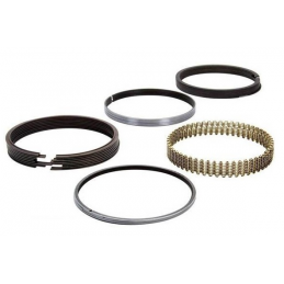 Set fasce elastiche 6 cil. 3,3 l (200 Cu.) 64-73