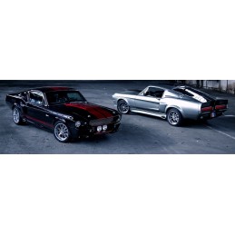 Eleanor GT500 Kit caroserie Extreme Premium Quality Shelby 67 68