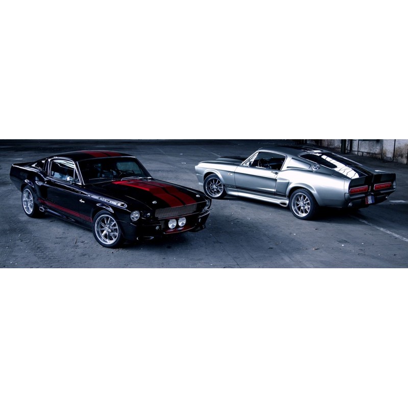 Eleanor GT500 Body kit Premium Quality Shelby 67 68