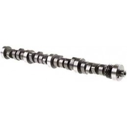Fusione albero a camme 289 / 302 64-73