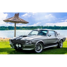 Llantas 17" 7+8" estilo Eleanor Cobra 427 GT500 Halibrand