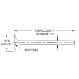 Supapa de evacuare 289 / 302 Non Rail 64-73