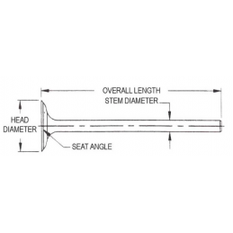 Intake Valve 289 / 302 Non Rail 64-73