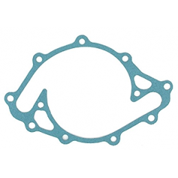 289 302 351W Garnitura Pompa Apa 64-73