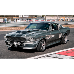 Halogen cu rază lungă de acțiune, perfect pentru Eleanor