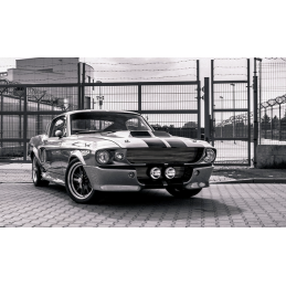 Halogen cu rază lungă de acțiune, perfect pentru Eleanor