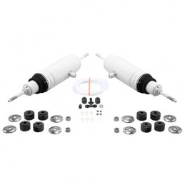 Amortizoare pompate, spate, pereche Monroe 64-73