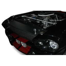 Cache-grille, bouchon de radiateur Eleanor GT500
