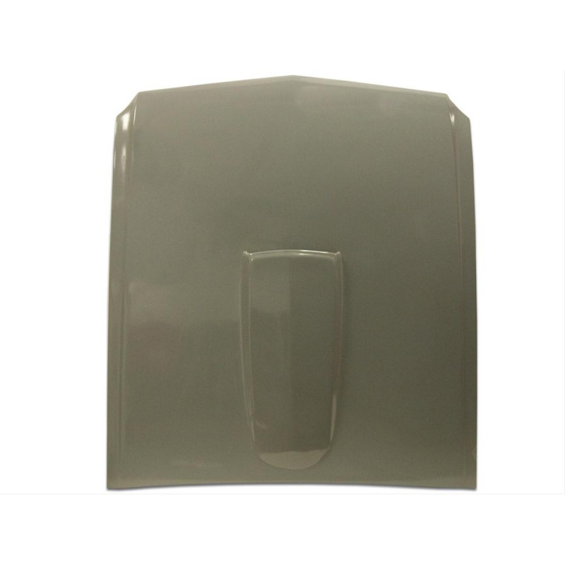 Cappa Shelby GT350 GRP 65-66 Cappa Shelby GT350 GRP 65-66