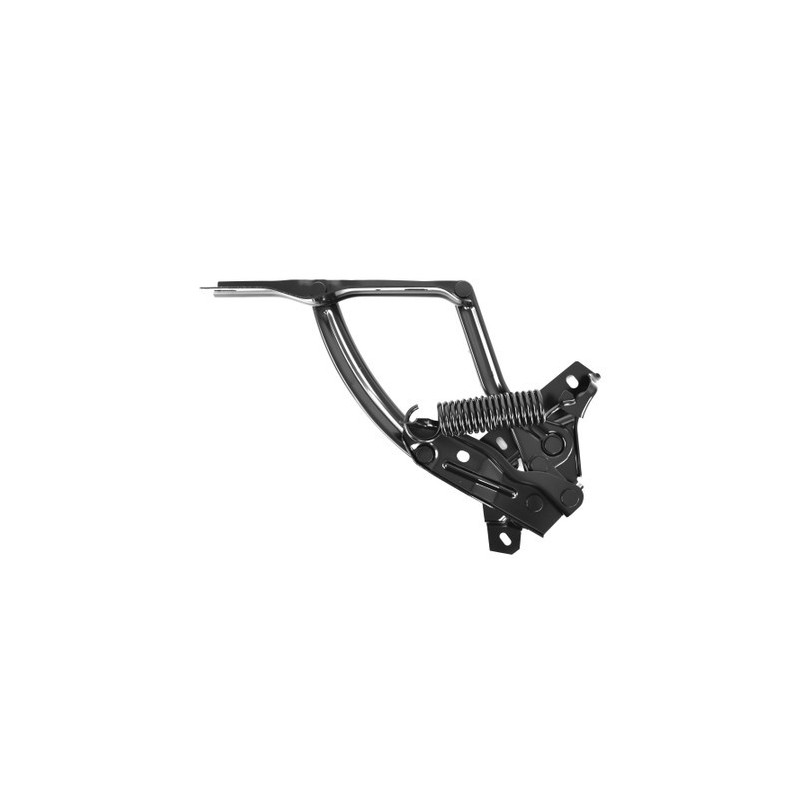 Maschera di Disser- Leggi 71-73 Maschera di Disser- Leggi 71-73