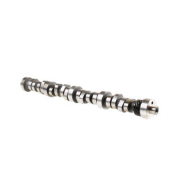 Hydraulic Roller Camshaft Stock 5.0HO 64-73