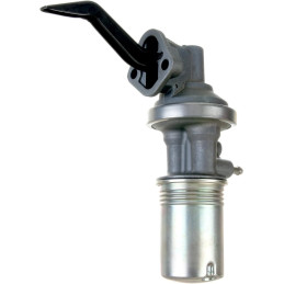 Bomba de combustible con filtro/ 289 302 351 W 65/ 66-73