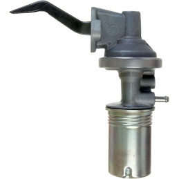 Bomba de combustible con filtro/ 289 302 351 W 65/ 66-73