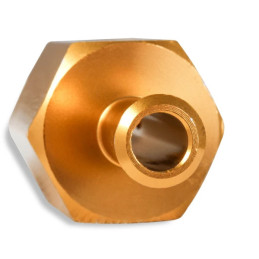 Adaptateur pour le raccordement d'une jauge de pression de carburant