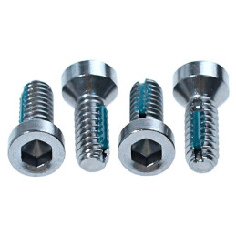 Inside Door Handle & Window Crank Screws 4 pcs 65-66