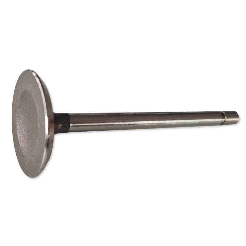 Supapă de aspirație 289 / 302 Non-Rail 64-73