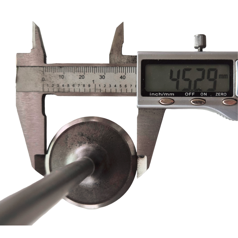 Intake valve 289 302 RAIL 64-73