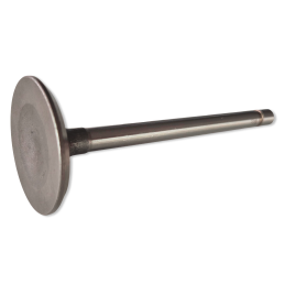 Intake valve 289 302 RAIL 64-73