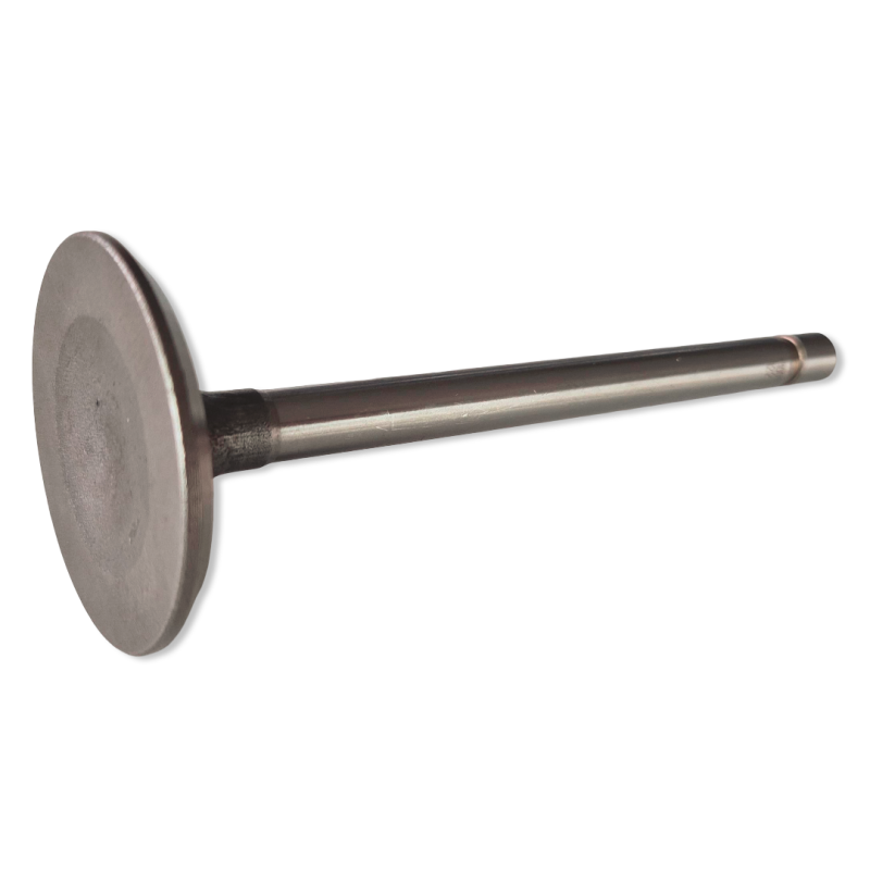 Sací ventil 289 302 RAIL 64-73 Sací ventil 289 302 RAIL 64-73