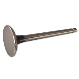 Exhaust valve 289 302 RAIL 64-73