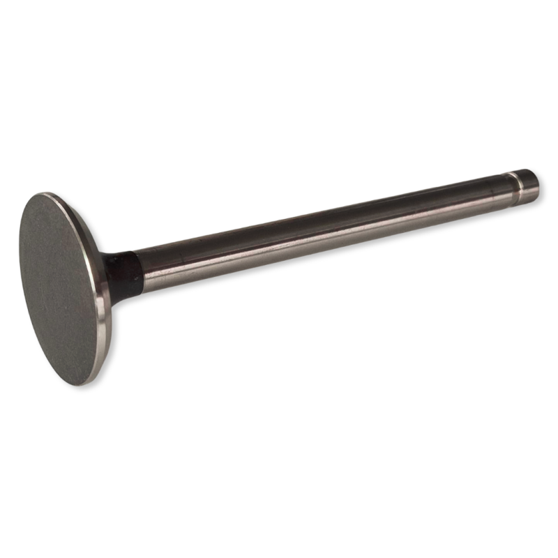 Supapa de evacuare 289/302 Non-Rail 64-73