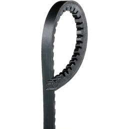 V-Belt 11 x 1260 / 0.44 x 49.5" 64-73