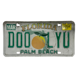 Florida license plate