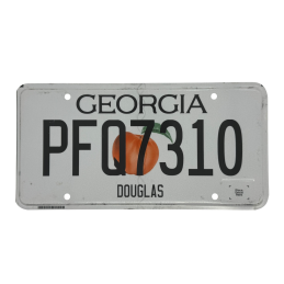 Georgia license plate