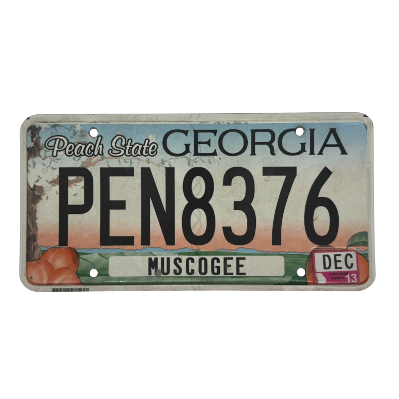 Georgia Nummernschild Georgia Nummernschild