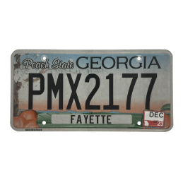 Georgia license plate