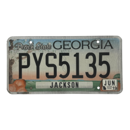 Georgia license plate