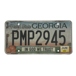 Georgia license plate