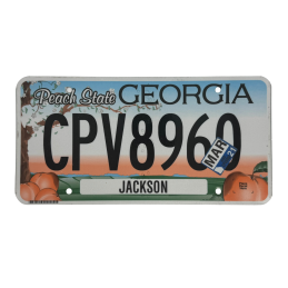 Georgia license plate