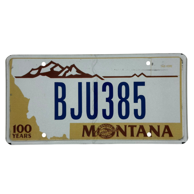 Montana license plate