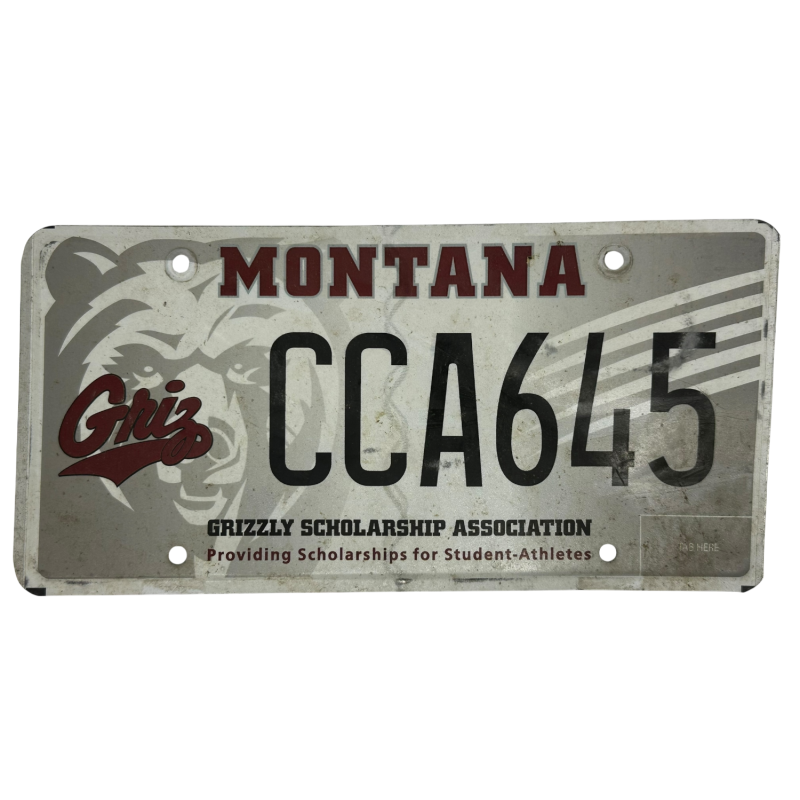 Montana license plate Montana license plate