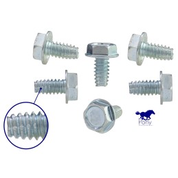 Storage compartment glove box door screws 64-66