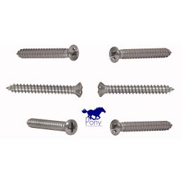 Top Windshield Screw Coupe/Fastback (6) 69-70
