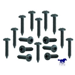 Lower Dash Trim and Center Dash Screws (6) 69-70