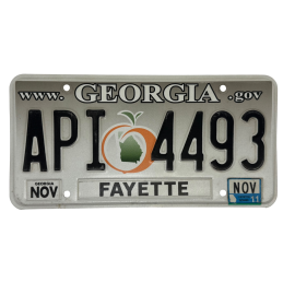 Georgia license plate