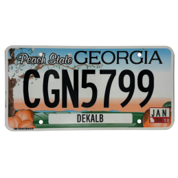 Georgia license plate