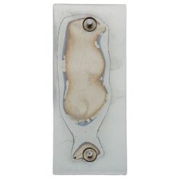 Emblema pentru aripa GT500, fascia spate Eleanor 67