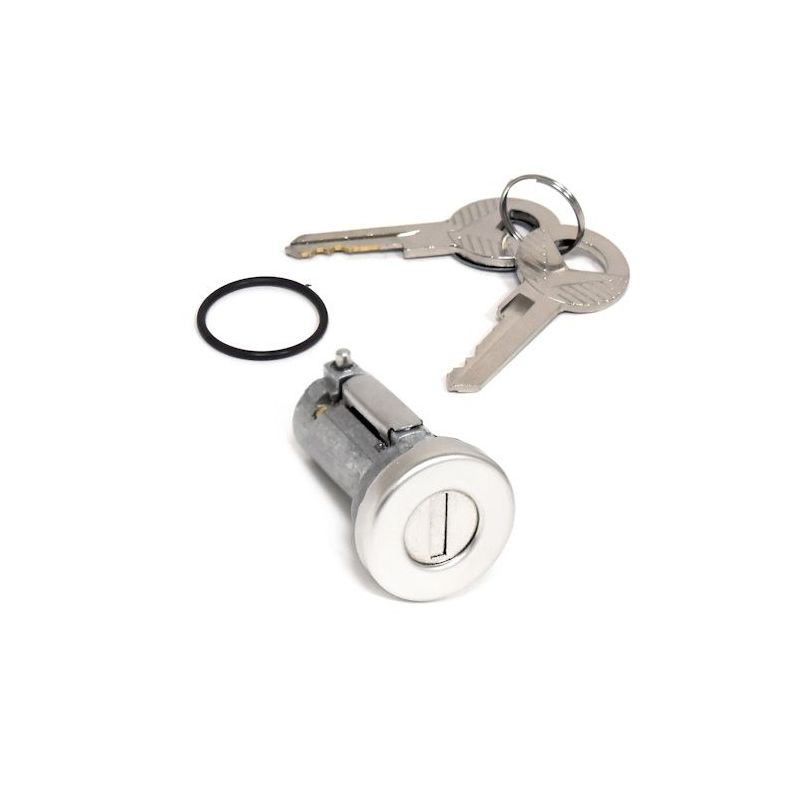 Trunk lock insert 64-66