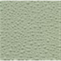 Tapițerie plafon Fastback Verde deschis 65-68