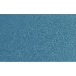 Côtés arrière de cabriolet, couverture bleu clair 66-67
