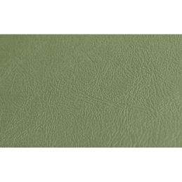 Revêtement de côté Standard (Pony) Cabriolet Ivy or 65-68